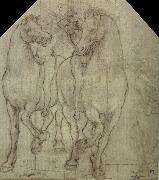 Horses with horsemen Leonardo  Da Vinci